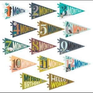 Lucy Darling “Happy Camper” Milestone Pennants